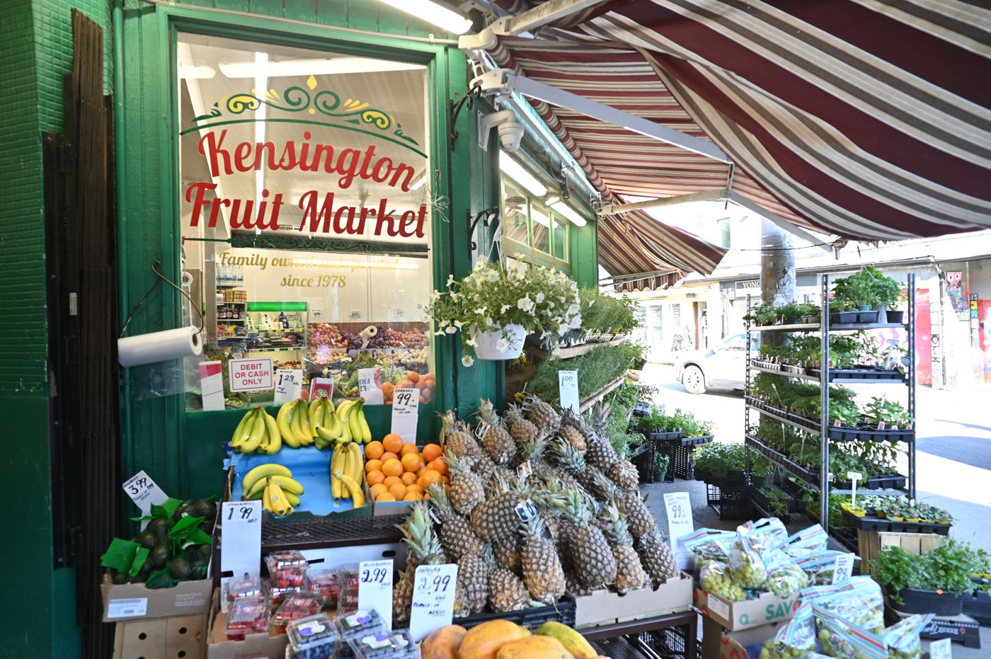 Kensington fruit market
